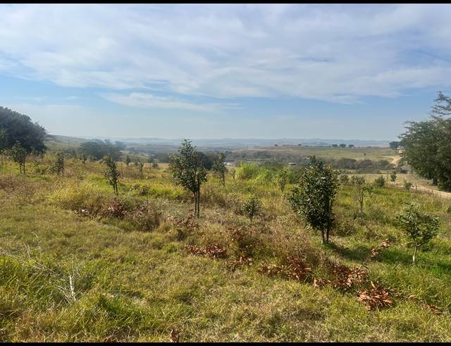 200,000M² VACANT LAND FOR SALE IN FAIRVIEW ESTATES